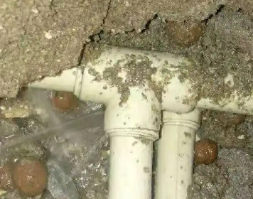 文峰测漏水多少钱