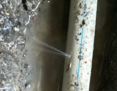 文峰测漏水哪家好