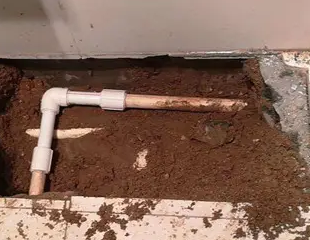 文峰测漏水哪家好