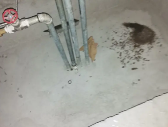 文峰卫生间测漏水价格明细