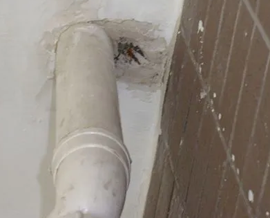 文峰漏水检测哪家好